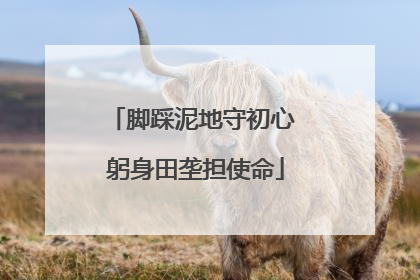 脚踩泥地守初心 躬身田垄担使命