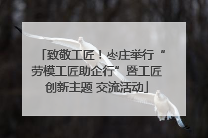 致敬工匠！枣庄举行“劳模工匠助企行”暨工匠创新主题 交流活动