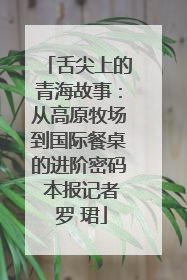 舌尖上的青海故事：从高原牧场到国际餐桌的进阶密码 本报记者 罗 珺