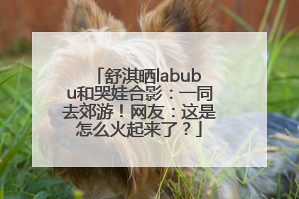 舒淇晒labubu和哭娃合影：一同去郊游！网友：这是怎么火起来了？