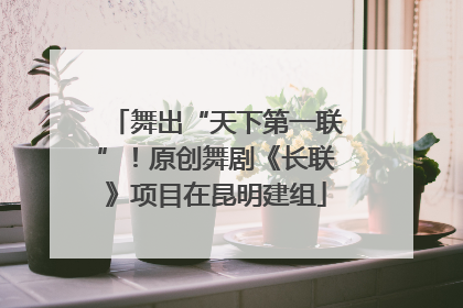 舞出“天下第一联”！原创舞剧《长联》项目在昆明建组