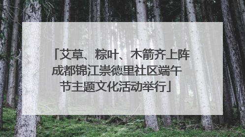 艾草、粽叶、木箭齐上阵 成都锦江崇德里社区端午节主题文化活动举行