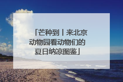 芒种到丨来北京动物园看动物们的夏日纳凉图鉴