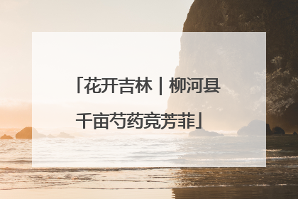 花开吉林｜柳河县千亩芍药竞芳菲