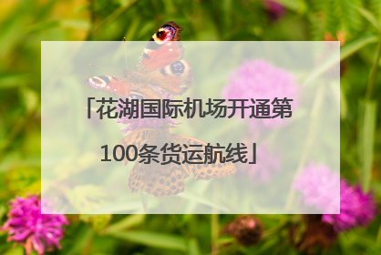 花湖国际机场开通第100条货运航线