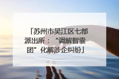 苏州市吴江区七都派出所：“调解智囊团”化解涉企纠纷