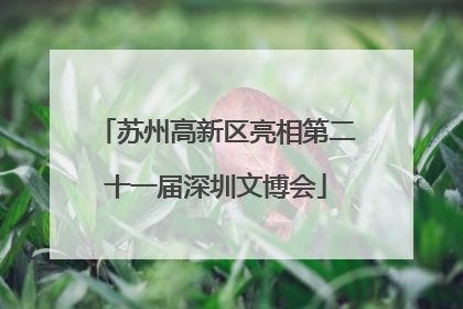 苏州高新区亮相第二十一届深圳文博会