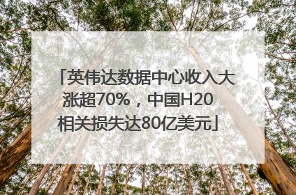 英伟达数据中心收入大涨超70%，中国H20相关损失达80亿美元