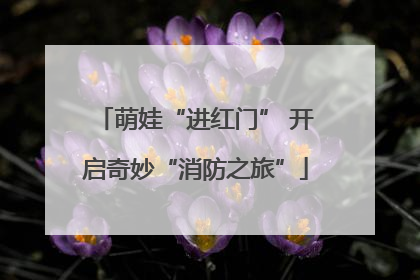 萌娃“进红门” 开启奇妙“消防之旅”
