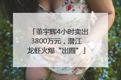 董宇辉4小时卖出3800万元，潜江龙虾火爆“出圈”