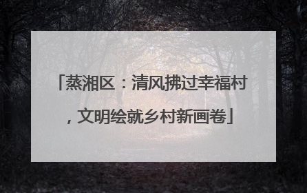 蒸湘区：清风拂过幸福村，文明绘就乡村新画卷