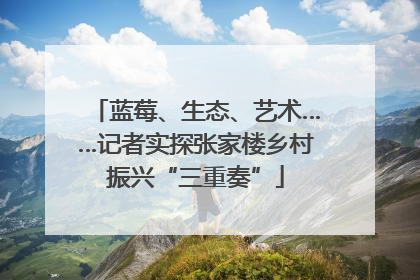 蓝莓、生态、艺术……记者实探张家楼乡村振兴“三重奏”