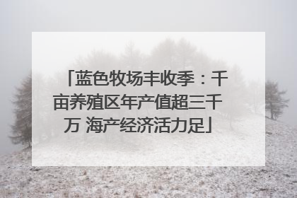 蓝色牧场丰收季：千亩养殖区年产值超三千万 海产经济活力足