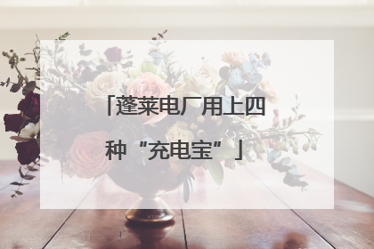 蓬莱电厂用上四种“充电宝”
