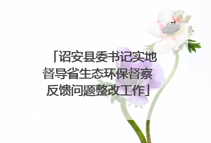 诏安县委书记实地督导省生态环保督察反馈问题整改工作