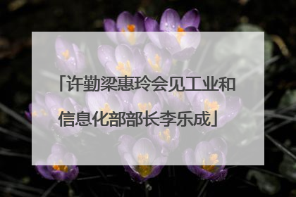 许勤梁惠玲会见工业和信息化部部长李乐成