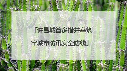 许昌城管多措并举筑牢城市防汛安全防线