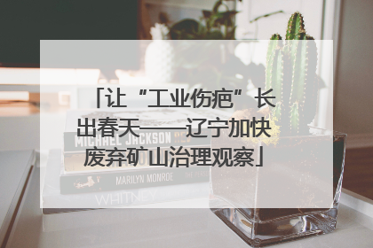 让“工业伤疤”长出春天——辽宁加快废弃矿山治理观察