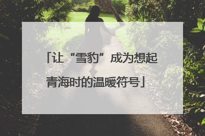 让“雪豹”成为想起青海时的温暖符号