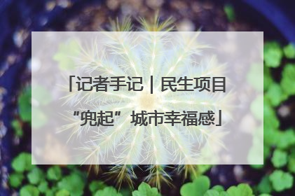 记者手记｜民生项目“兜起”城市幸福感
