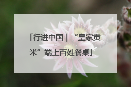 行进中国｜“皇家贡米”端上百姓餐桌