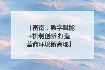 衡南：数字赋能+机制创新 打造营商环境新高地
