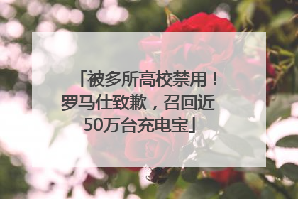 被多所高校禁用！罗马仕致歉，召回近50万台充电宝