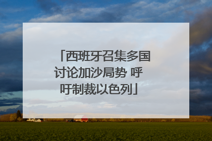 西班牙召集多国讨论加沙局势 呼吁制裁以色列