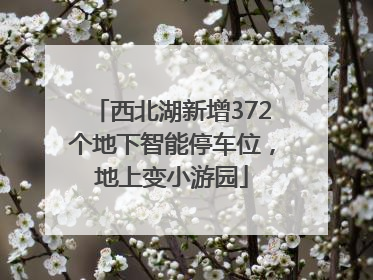 西北湖新增372个地下智能停车位，地上变小游园