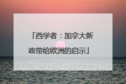 西学者：加拿大新政带给欧洲的启示