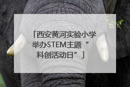西安黄河实验小学举办STEM主题“科创活动日”