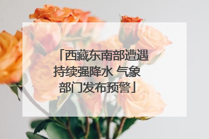 西藏东南部遭遇持续强降水 气象部门发布预警