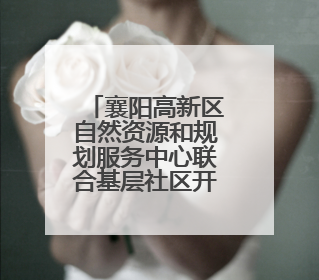 襄阳高新区自然资源和规划服务中心联合基层社区开展“6·25”土地日宣传活动
