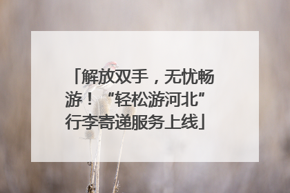 解放双手，无忧畅游！“轻松游河北”行李寄递服务上线