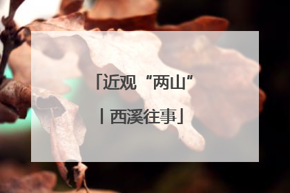 近观“两山”丨西溪往事