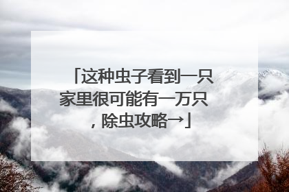 这种虫子看到一只家里很可能有一万只，除虫攻略→
