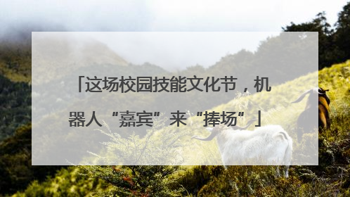 这场校园技能文化节，机器人“嘉宾”来“捧场”