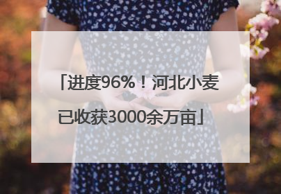 进度96%！河北小麦已收获3000余万亩
