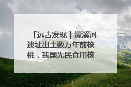 远古发现｜濛溪河遗址出土数万年前核桃，我国先民食用核桃历史大幅提前