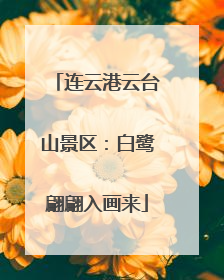连云港云台山景区：白鹭翩翩入画来