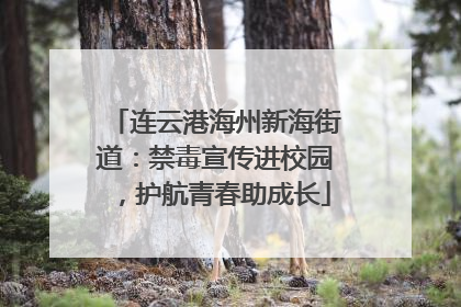 连云港海州新海街道：禁毒宣传进校园，护航青春助成长