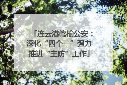 连云港赣榆公安：深化“四个一”强力推进“主防”工作