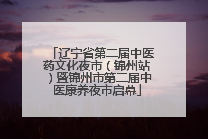 辽宁省第二届中医药文化夜市（锦州站）暨锦州市第二届中医康养夜市启幕
