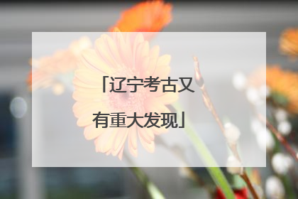 辽宁考古又有重大发现