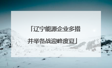 辽宁能源企业多措并举备战迎峰度夏