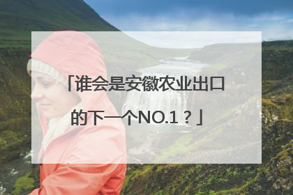 谁会是安徽农业出口的下一个NO.1？