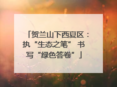 贺兰山下西夏区：执“生态之笔” 书写“绿色答卷”