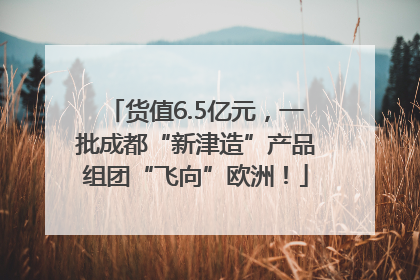 货值6.5亿元，一批成都“新津造”产品组团“飞向”欧洲！