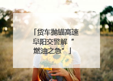 货车抛锚高速 阜阳交警解“燃油之急”