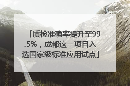 质检准确率提升至99.5%，成都这一项目入选国家级标准应用试点